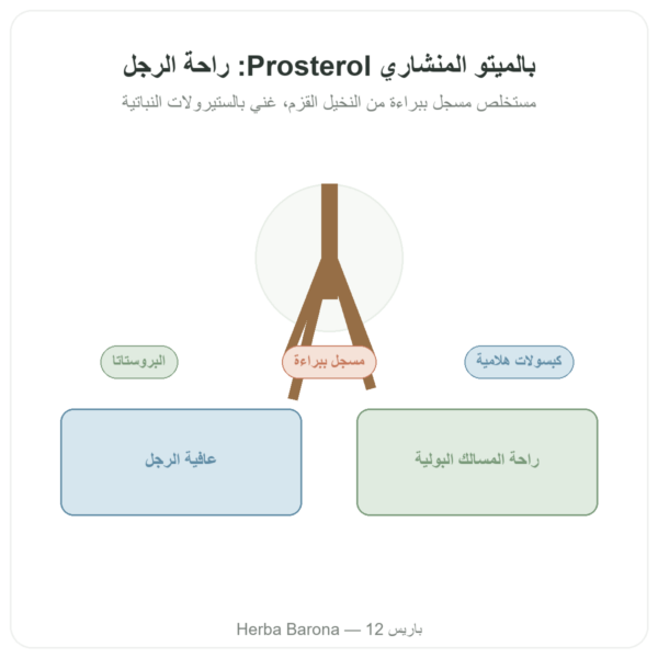 Saw Palmetto Prosterol 320 ملغ – Doctor's Best – 60 كبسولة عرض المنتج Paris Herba Barona