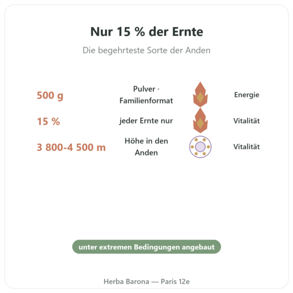 Schwarze Maca Bio Pulver – Energy Feelings – 500 g Vorteile und Fakten Paris Herba Barona