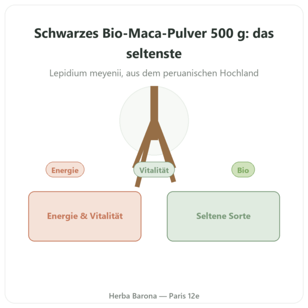 Schwarze Maca Bio Pulver – Energy Feelings – 500 g Vorstellung Paris Herba Barona