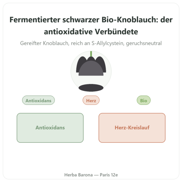 Fermentierter schwarzer Knoblauch Bio – Dynveo – 60 Kapseln Vorstellung Paris Herba Barona