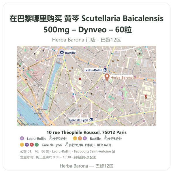 黄芩 Scutellaria Baicalensis 500mg – Dynveo – 60粒 巴黎哪里能买到 - 门店地图 Herba Barona Paris 12e