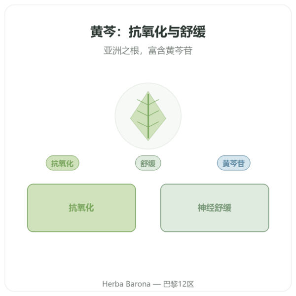 黄芩 Scutellaria Baicalensis 500mg – Dynveo – 60粒 产品展示 Paris Herba Barona