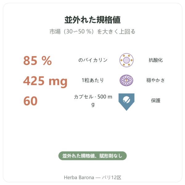 Scutellaria Baicalensis 500mg – Dynveo – 60カプセル benefits and key facts Paris Herba Barona