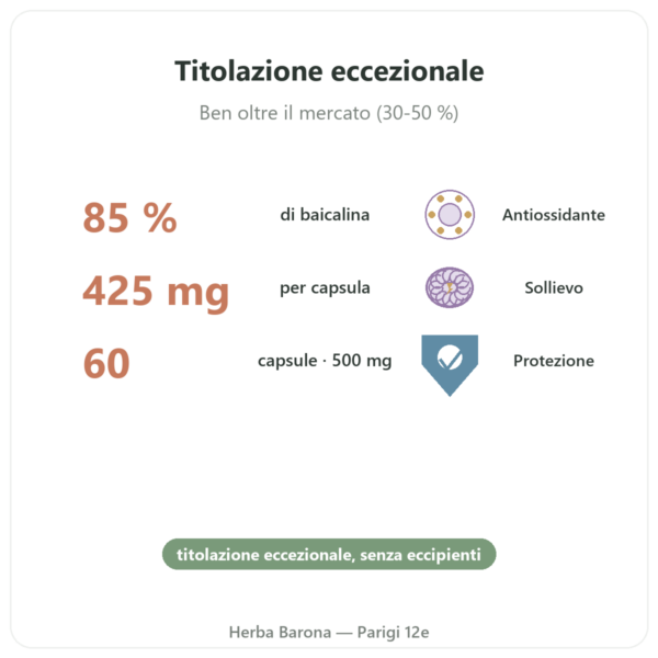 Scutellaria Baicalensis 500mg – Dynveo – 60 capsule benefici e dati chiave Paris Herba Barona