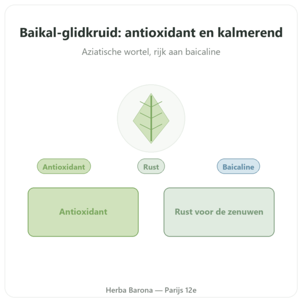 Scutellaria Baicalensis Dynveo 500 mg 60 capsules presentatie Paris Herba Barona