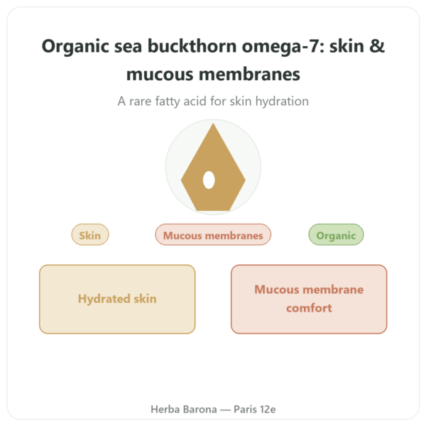 Sea Buckthorn Oil Omega-7 - Dynveo - 60 capsules presentation Paris Herba Barona