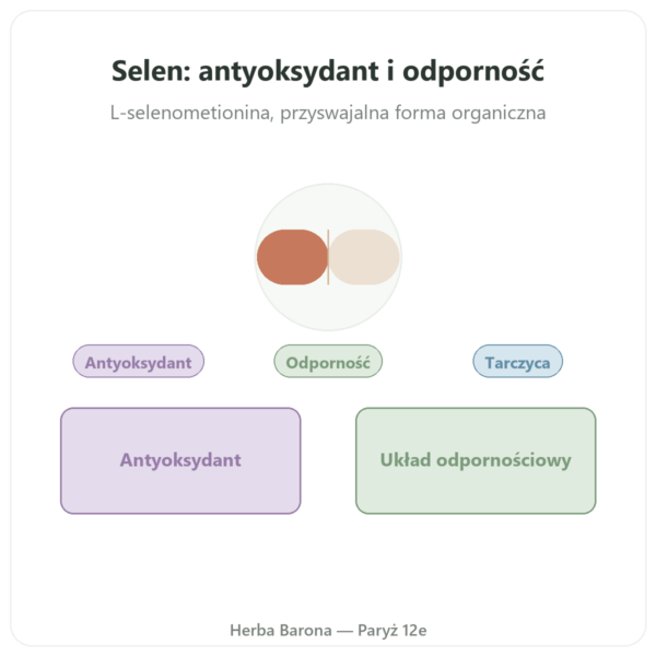 Selen 100 µg – NOW Foods – 100 tabletek prezentacja Paris Herba Barona