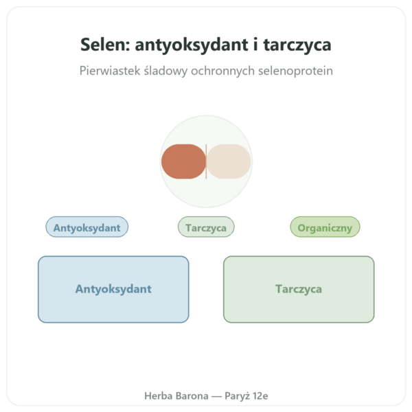 Selen – Dynveo – 60 kapsułek prezentacja Paris Herba Barona