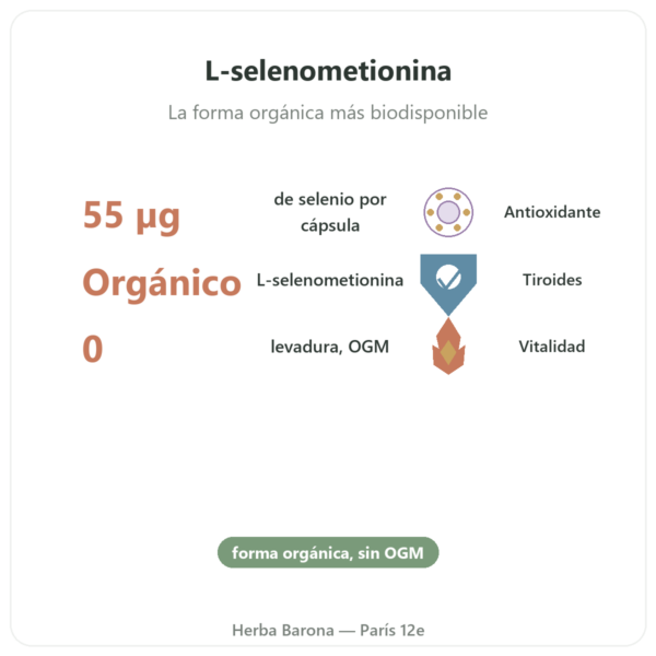 Selenio – Dynveo – 60 cápsulas beneficios y datos clave Paris Herba Barona