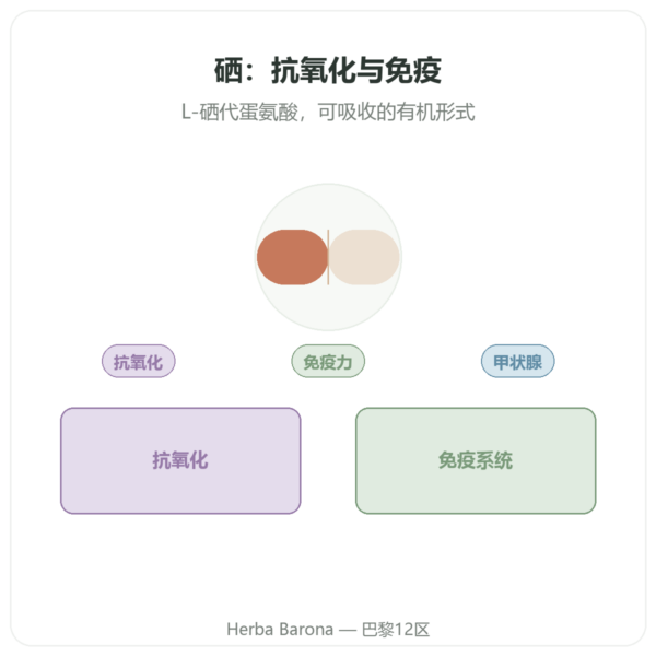 硒 100 微克 – NOW Foods – 100 片 产品展示 Paris Herba Barona