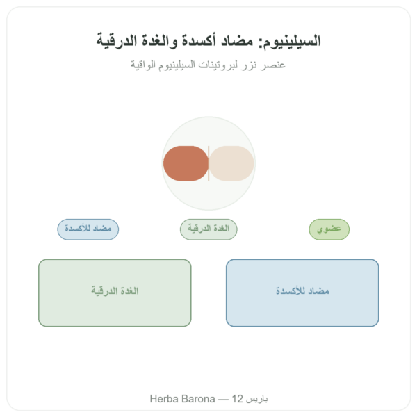 سيلينيوم – Dynveo – 60 كبسولة عرض المنتج Paris Herba Barona