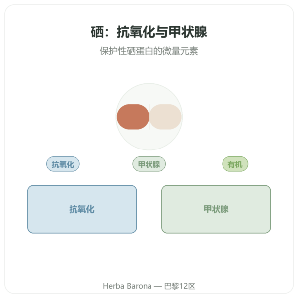 硒 – Dynveo – 60 粒胶囊 产品展示 Paris Herba Barona