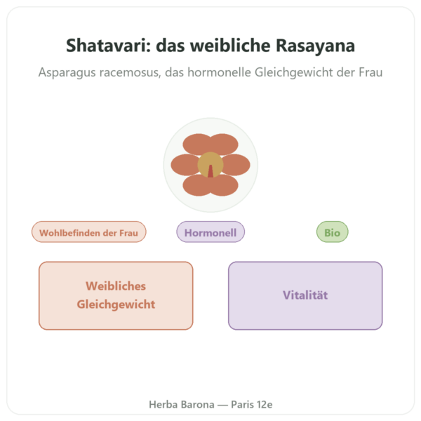Shatavari Bio – Ayur-vana – 60 Kapseln Vorstellung Paris Herba Barona