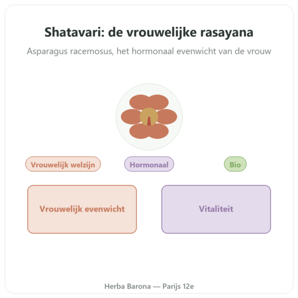 Shatavari Bio – Ayur-vana – 60 capsules presentatie Paris Herba Barona