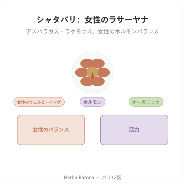 シャタバリ ビオ – Ayur-vana – 60カプセル presentation Paris Herba Barona