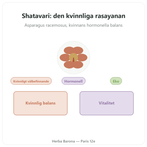 Shatavari Bio – Ayur-vana – 60 kapslar presentation Paris Herba Barona