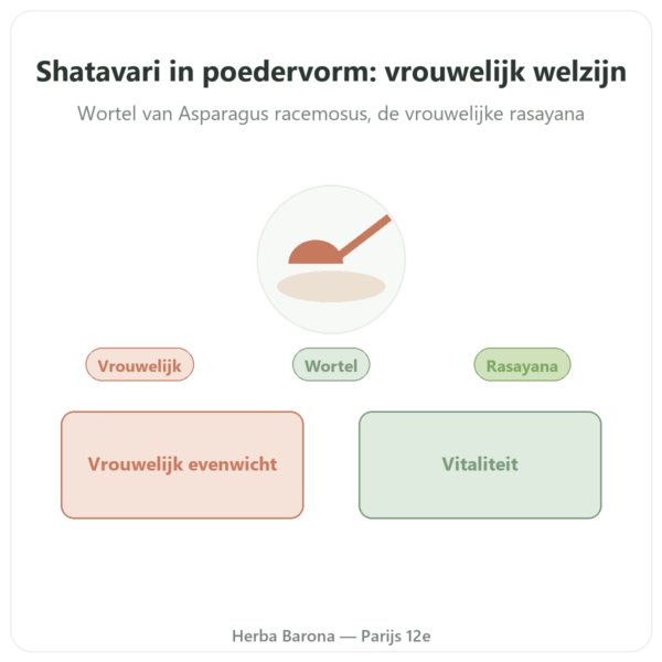 Shatavari Poeder Ayur-vana 150 g presentatie Paris Herba Barona