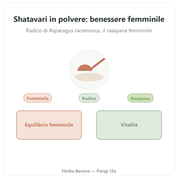 Shatavari in polvere – Ayur-vana – 150 g presentazione Paris Herba Barona