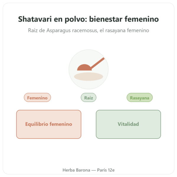 Shatavari en Polvo – Ayur-vana – 150 g presentación Paris Herba Barona