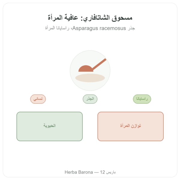 شاتافاري بودرة – Ayur-vana – 150 غرام عرض المنتج Paris Herba Barona
