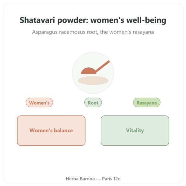 Shatavari Powder – Ayur-vana – 150g presentation Paris Herba Barona