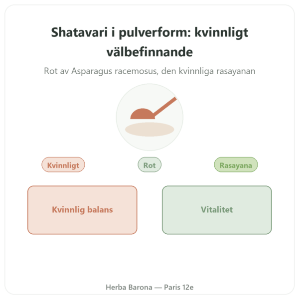 Shatavari pulver – Ayur-vana – 150 g presentation Paris Herba Barona