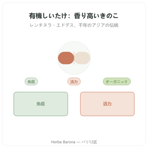 オーガニック シイタケ – dynveo – 60カプセル presentation Paris Herba Barona