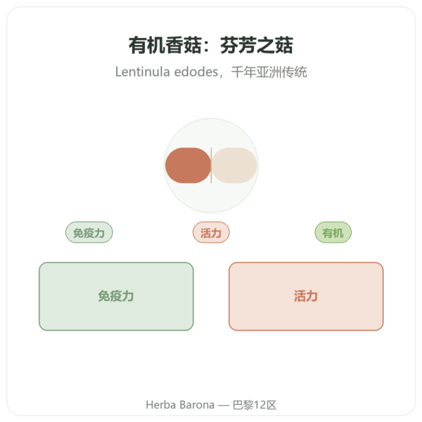 有机香菇 - Dynveo - 60 粒胶囊 产品展示 Paris Herba Barona