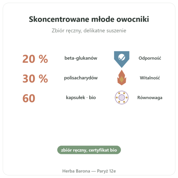Shiitake bio Dynveo 60 kapsułek w Paryżu korzyści i najważniejsze fakty Paris Herba Barona