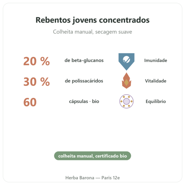Shiitake bio Dynveo 60 cápsulas benefícios e dados principais Paris Herba Barona