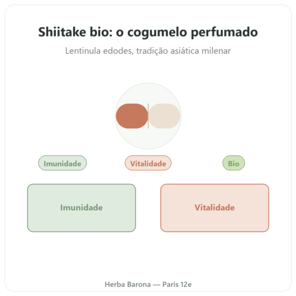 Shiitake bio Dynveo 60 cápsulas apresentação Paris Herba Barona
