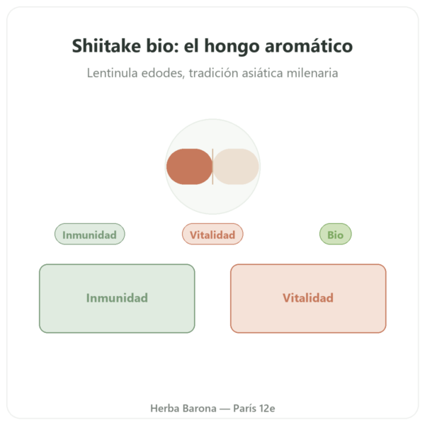Shiitake BIO – Dynveo – 60 cápsulas presentación Paris Herba Barona