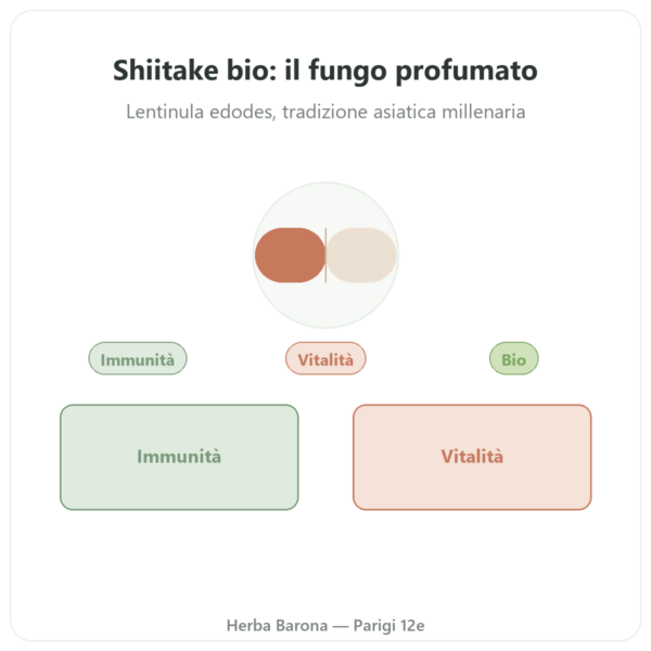 Shiitake bio – Dynveo – 60 capsule presentazione Paris Herba Barona