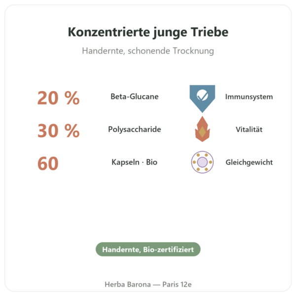 Shiitake Bio – Dynveo – 60 Kapseln Vorteile und Fakten Paris Herba Barona