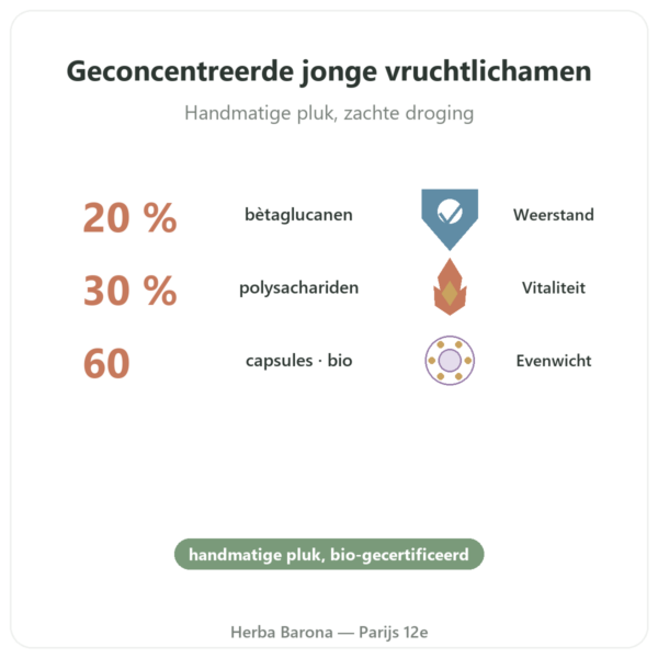 Shiitake bio 60 capsules – Dynveo voordelen en kerngegevens Paris Herba Barona