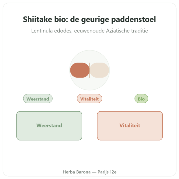Shiitake bio 60 capsules – Dynveo presentatie Paris Herba Barona