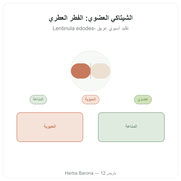 شيتاكي عضوي – Dynveo – 60 كبسولة عرض المنتج Paris Herba Barona