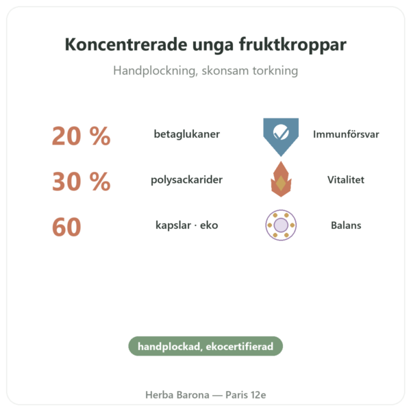 Shiitake eko – Dynveo – 60 kapslar fördelar och nyckelfakta Paris Herba Barona