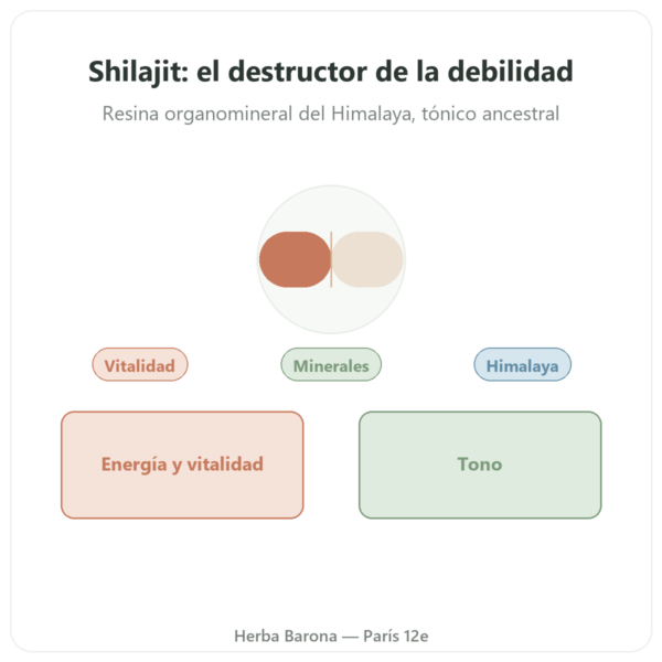 Shilajit en Cápsulas – Ayur-vana – 60 Cápsulas presentación Paris Herba Barona