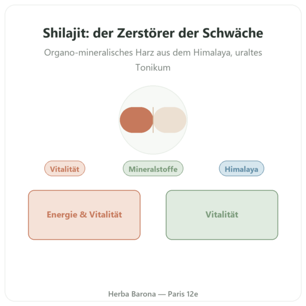 Shilajit-Kapseln – Ayur-vana – 60 Kapseln Vorstellung Paris Herba Barona