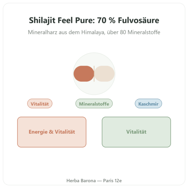 Reines Shilajit in Kapseln – Feel Pure – 70% Fulvosäure Vorstellung Paris Herba Barona