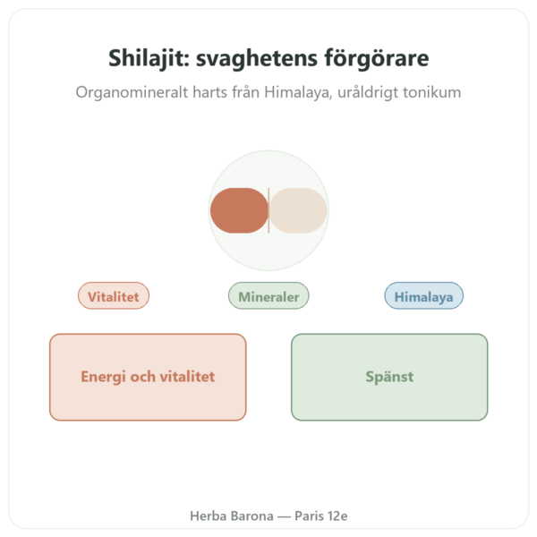 Shilajit i kapslar – Ayur-vana – 60 kapslar presentation Paris Herba Barona