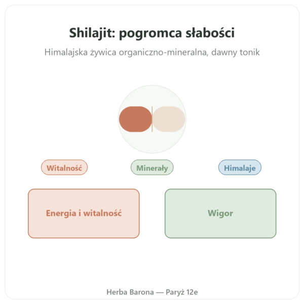 Shilajit w kapsułkach – Ayur-vana – 60 kapsułek prezentacja Paris Herba Barona