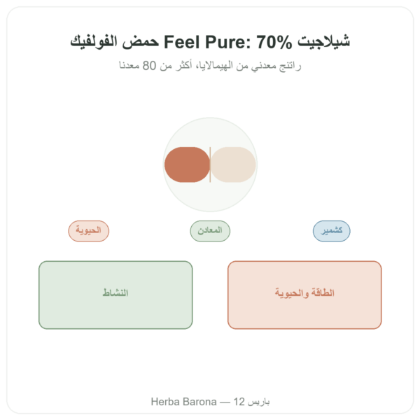 شيلاجيت نقي بكبسولات Feel Pure – 70% حمض الفولفيك عرض المنتج Paris Herba Barona