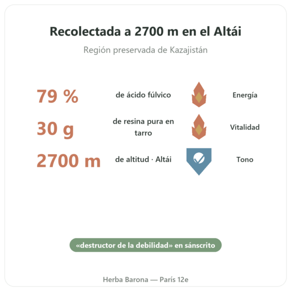 Shilajit en Resina Pura SIHO – 79% Ácido Fúlvico – 30 g en Tarro beneficios y datos clave Paris Herba Barona