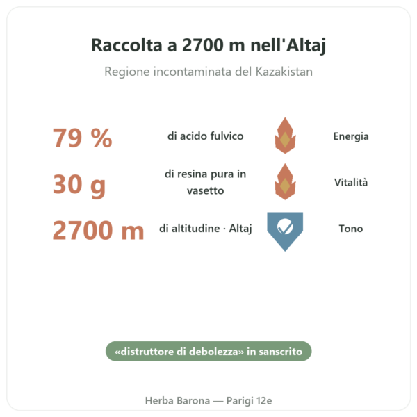 Shilajit in resina pura – SIHO – 79% acido fulvico – 30 g in vasetto benefici e dati chiave Paris Herba Barona