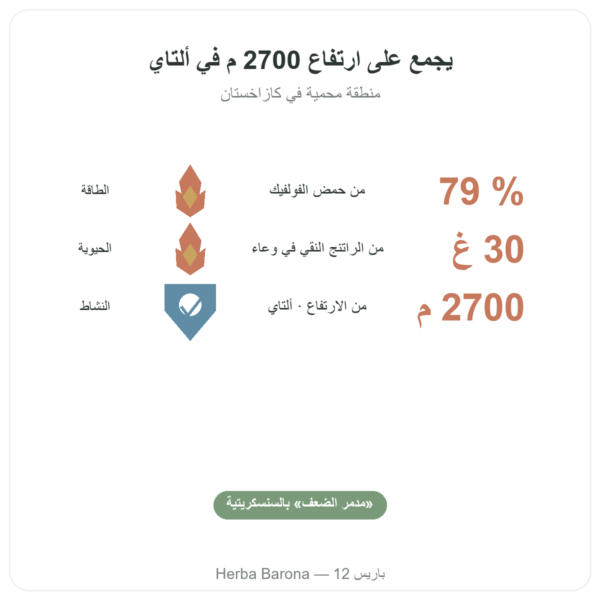 شيلاجيت راتنج نقي – SIHO – 79% حمض فولفيك – 30 غرام في علبة الفوائد والمعطيات الرئيسية Paris Herba Barona