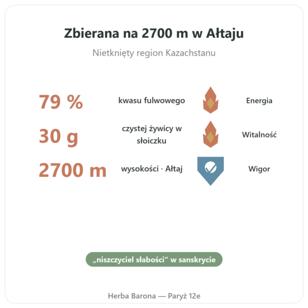 Shilajit w żywicy czystej – SIHO – 79% kwasu fulwowego – 30 g w słoiczku korzyści i najważniejsze fakty Paris Herba Barona