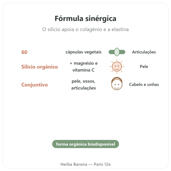 Silício G7 Activ+ – 60 cápsulas – Silicium Laboratories benefícios e dados principais Paris Herba Barona