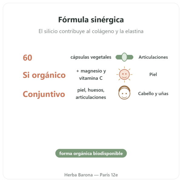 Silicio G7 Activ+ – 60 Cápsulas – Silicium Laboratories beneficios y datos clave Paris Herba Barona